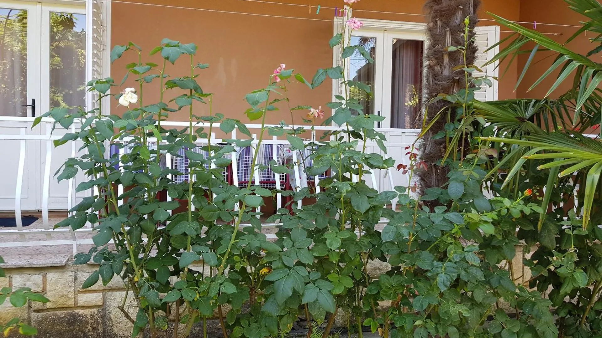 Renata Mare Apartments Rovinj 0*,  Chorwacja