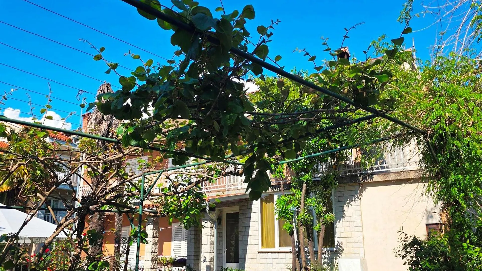 Renata Mare Apartments Rovigno 0*,  Croazia