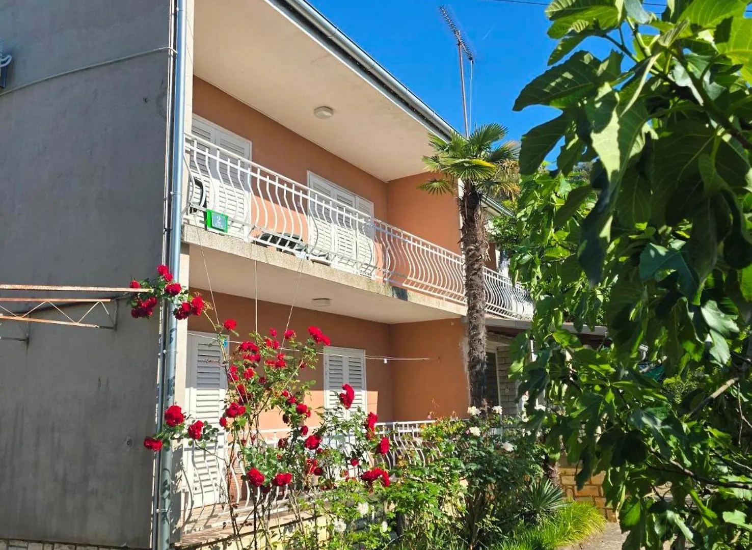 Renata Mare Apartments Rovigno 0*,